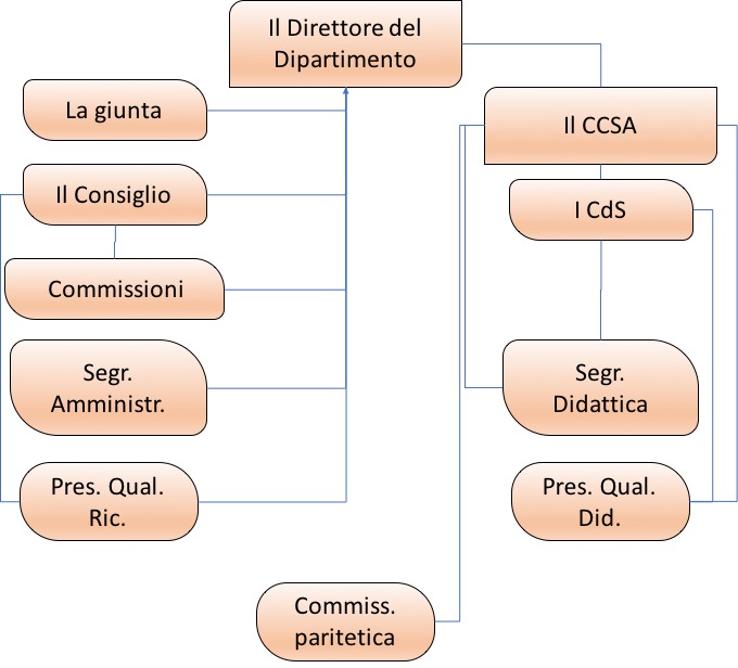 Organizzazione DIMI