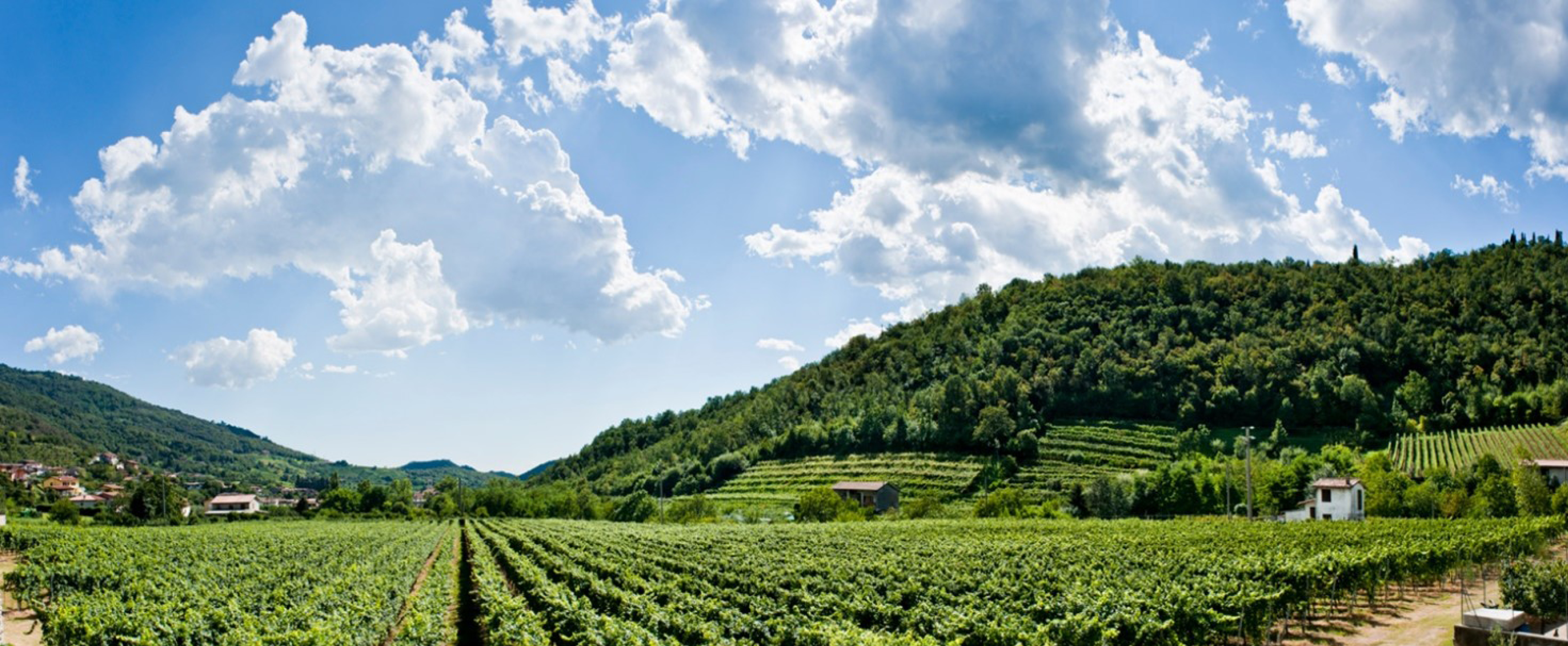 Colline moreniche del Garda