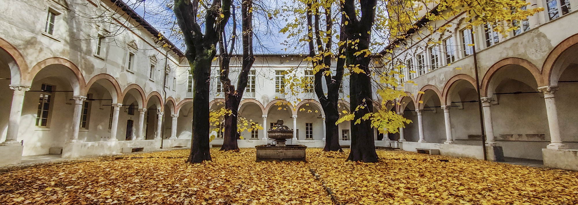 biblioteca beg chiostri