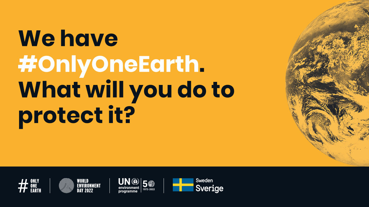 Grafica World Environment Day 2022