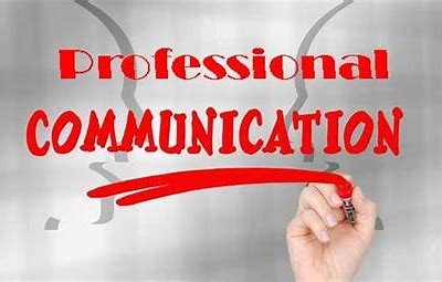 Seminario Professional Communication