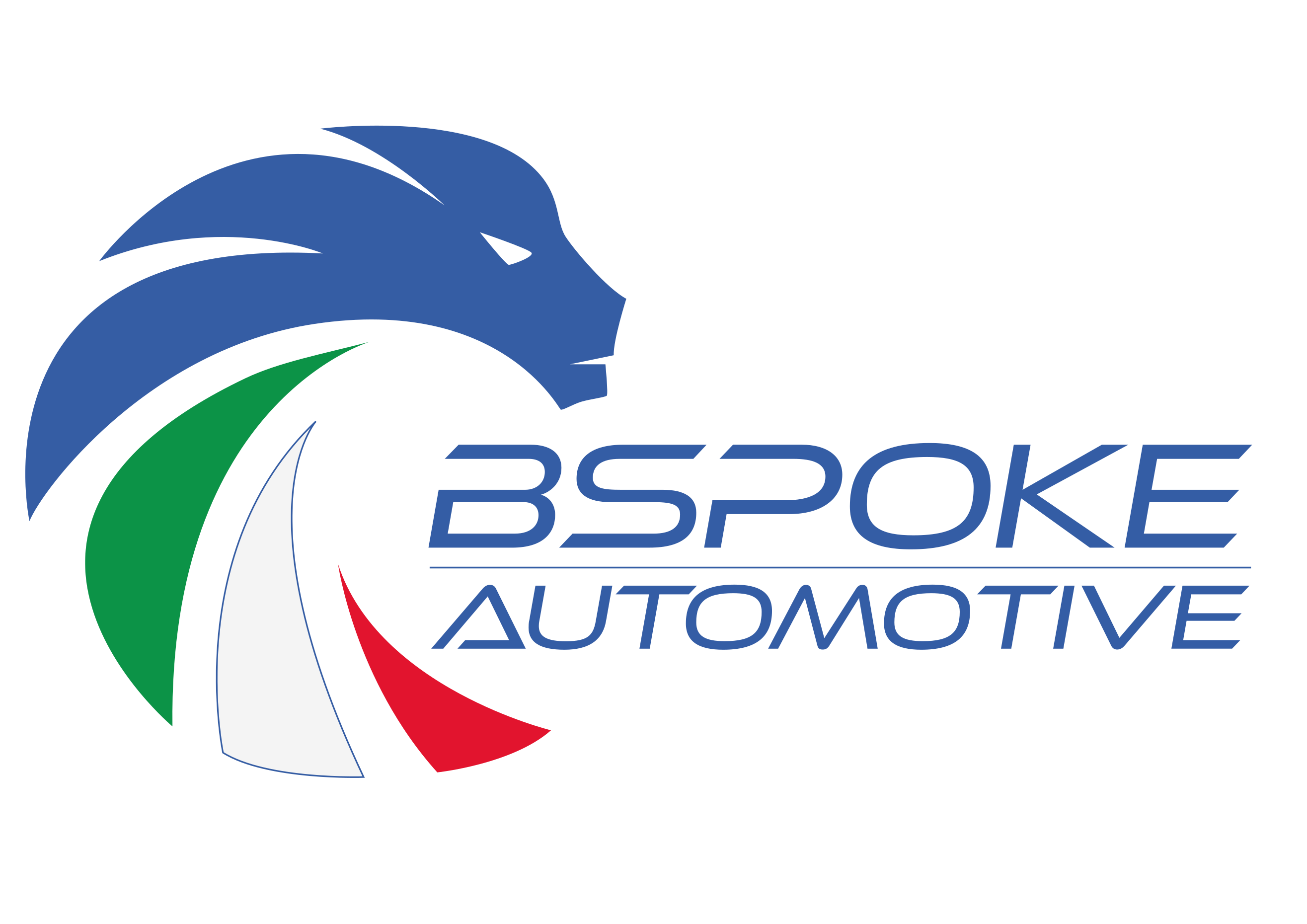 leone stilizzato con criniera colorata come la bandiera italiana e scritta BSPOKE Automotive al centro