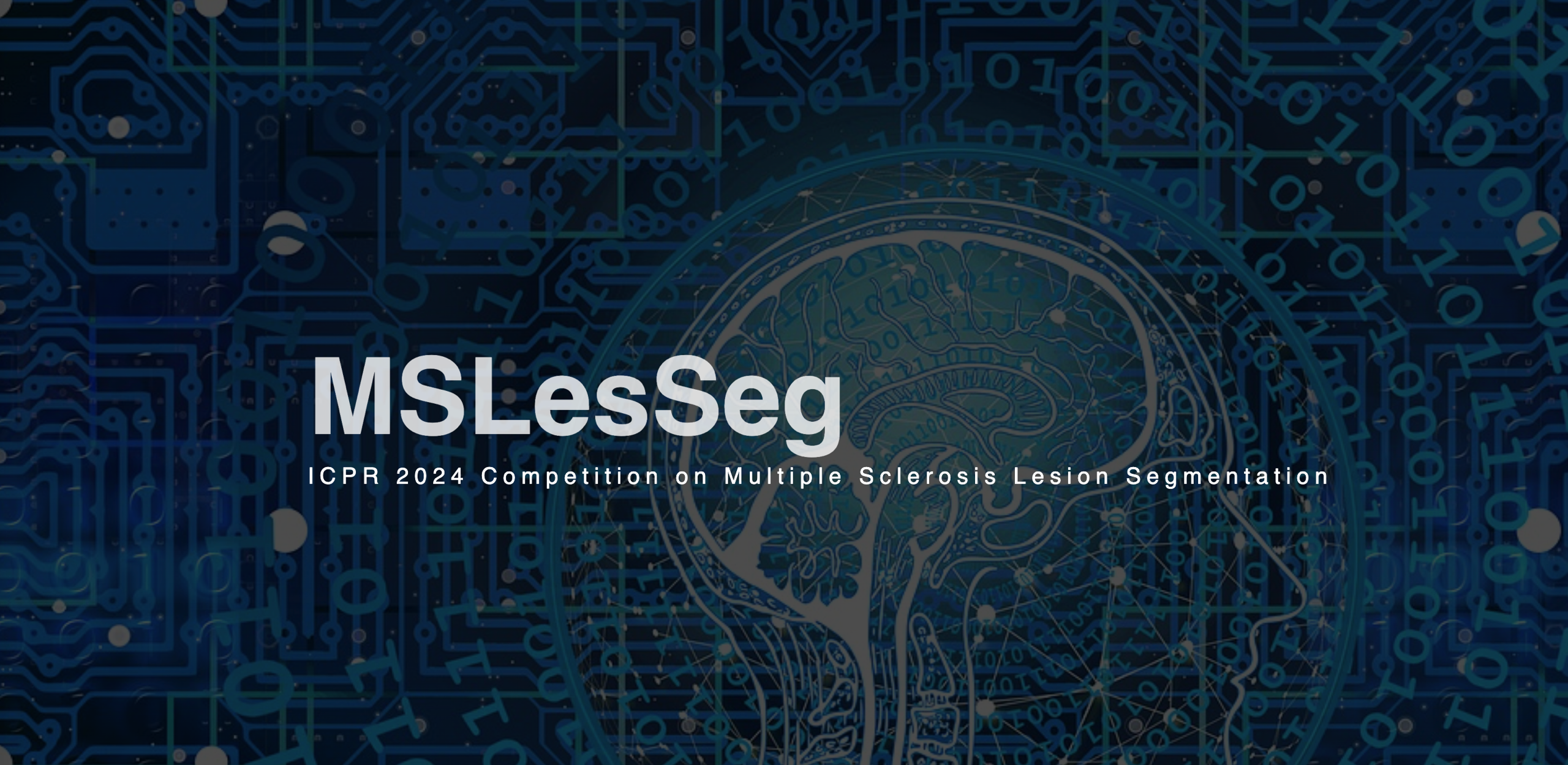MSLesSeg