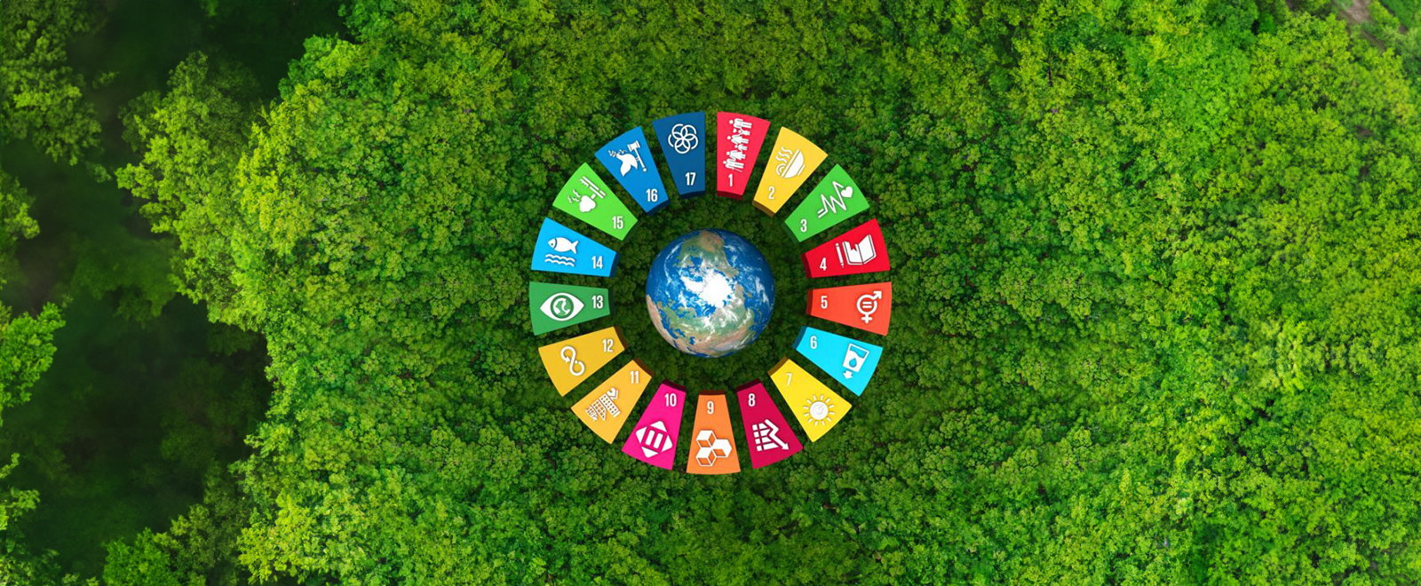 SDG