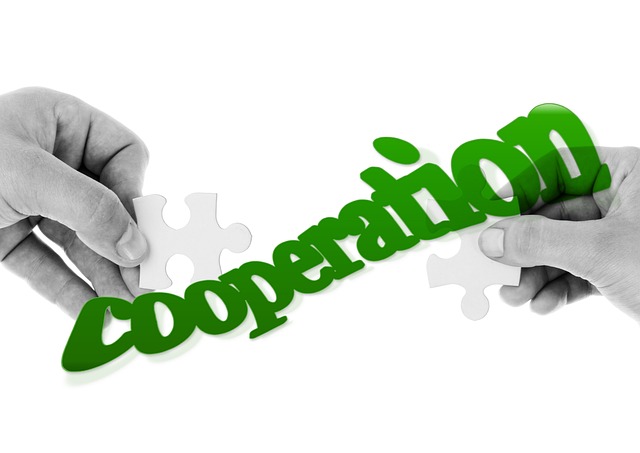 scritta cooperazione