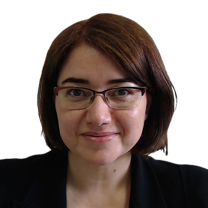 prof.ssa barbara rita barricelli