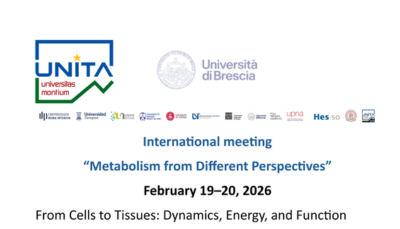 Metabolism from different perspectives