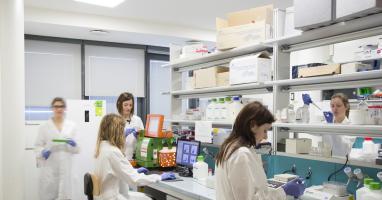 Studentesse in laboratorio