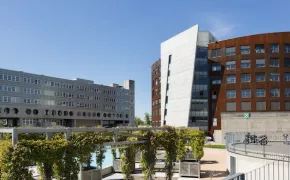 Dipartimento Medicina molecolare e traslazionale