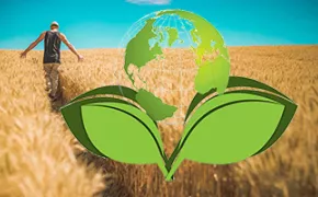 Agricoltura sostenibile