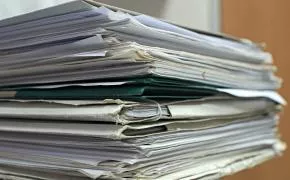 Consigli di Corsi di Studio