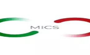 M I C S