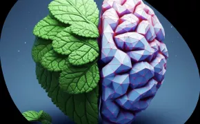 medimint lab