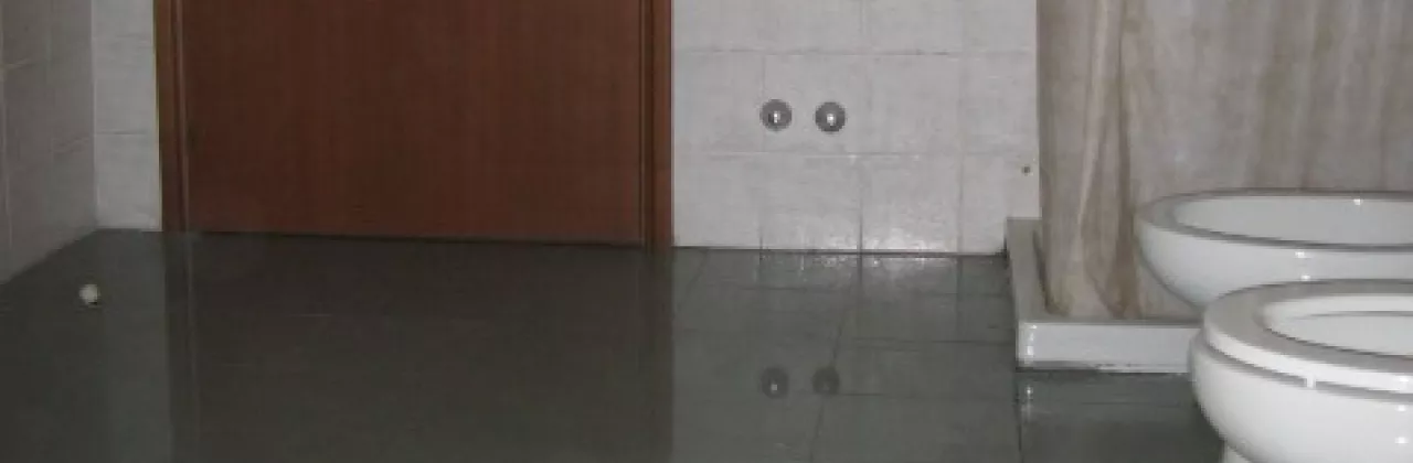 bagno paitone