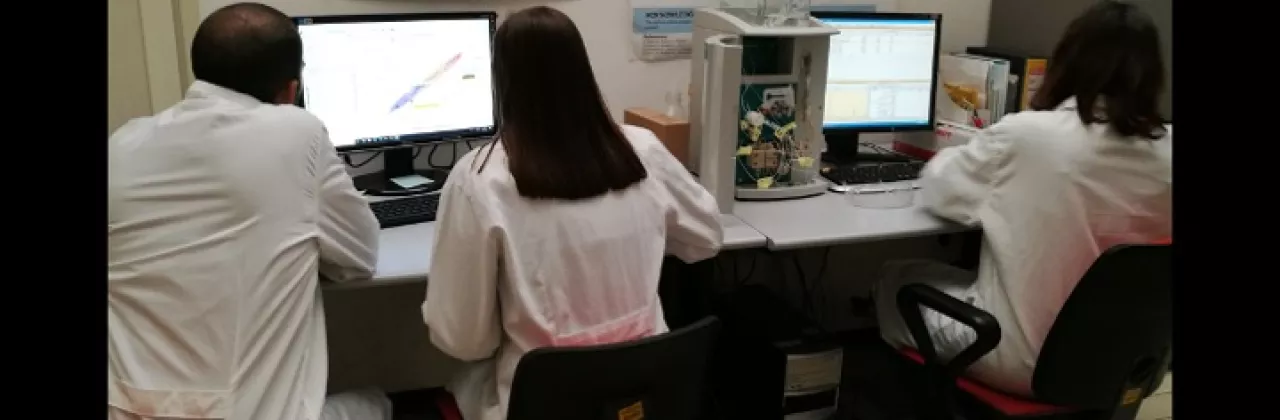 diapositiva11