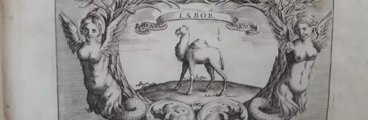 libro antico