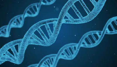 DNA