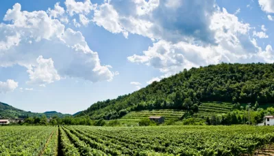 Colline moreniche del Garda