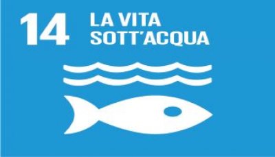 Obiettivo 14: Vita sott'acqua