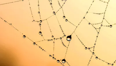 questa immagine un po' particolare e minimalista mostra una ragnatela su cui poggiano goccioline di rugiada, a creare un modello di connessione punti