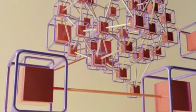 Una rete di connessioni