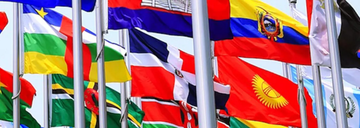 Flags