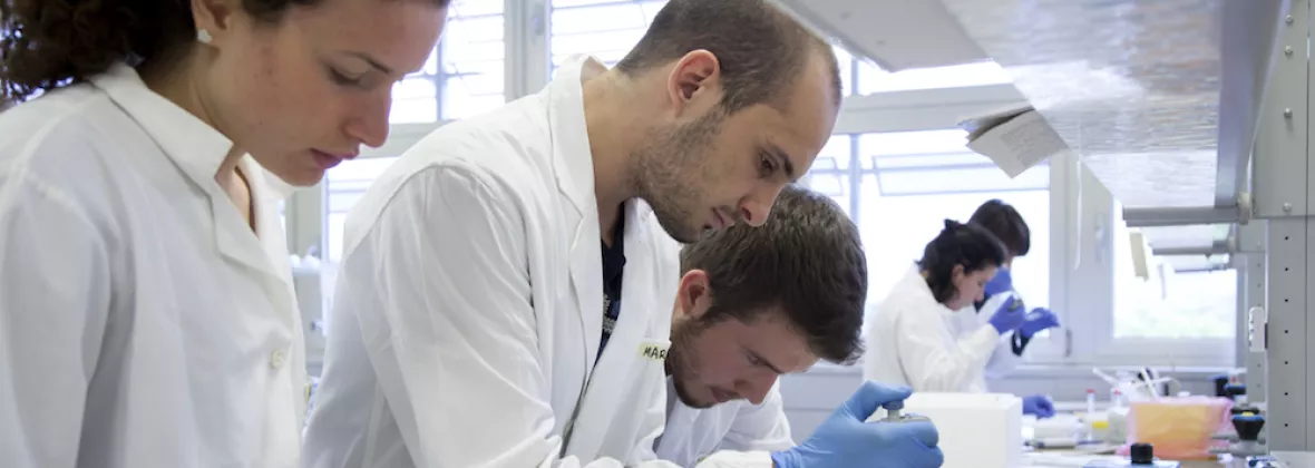 Equiparazione tirocinio 