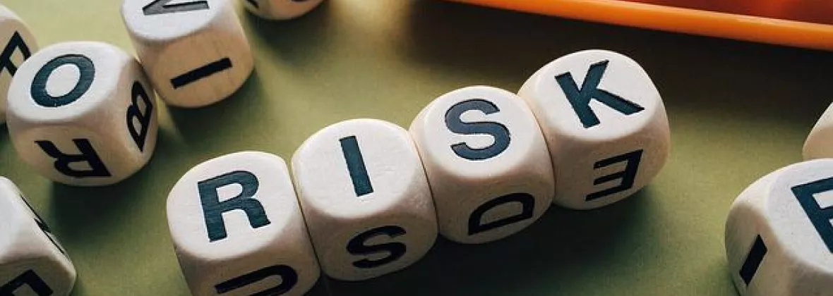 Risk