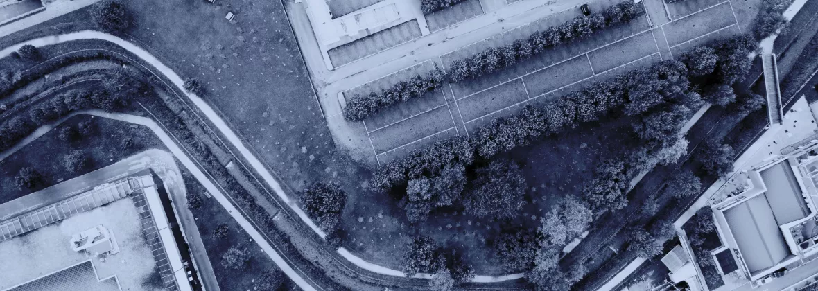 unibosco