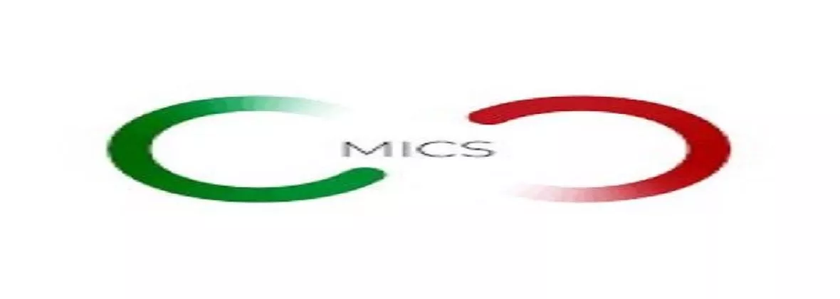 M I C S
