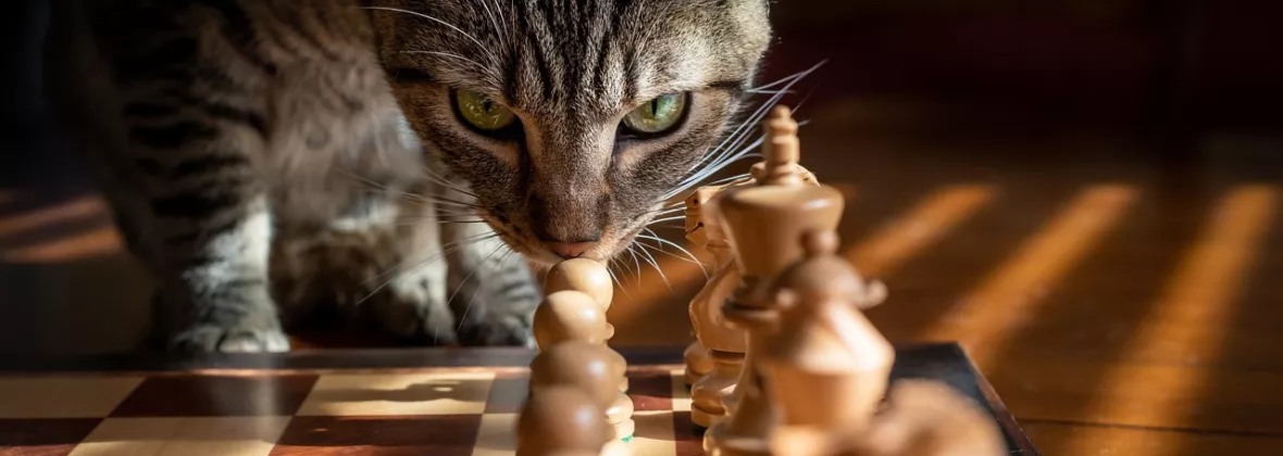 strategia