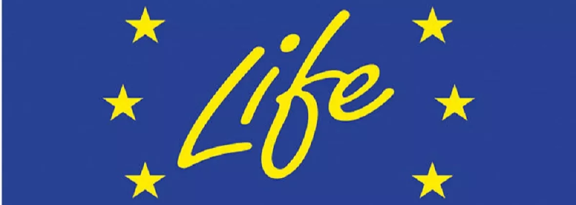 LIFE