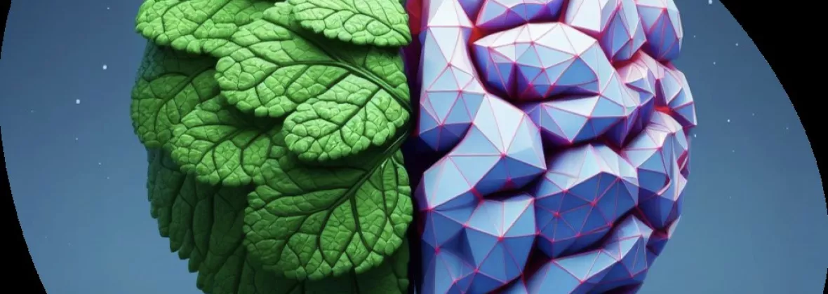 medimint lab