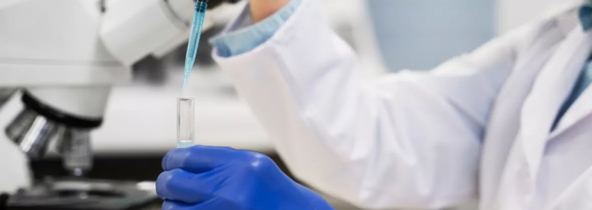 Pipette e microscopio