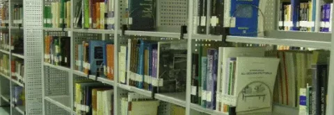 Scaffali pieni di libri