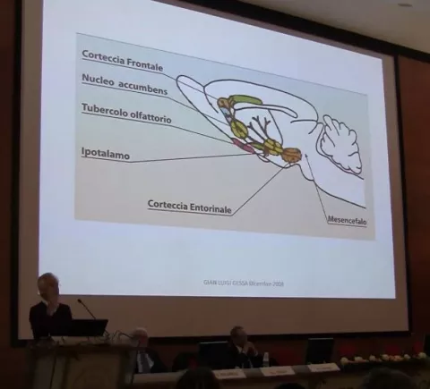 Lecture «I neurotrasmettitori delle emozioni»