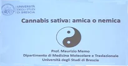 Olimpiadi Neuroscienze 2019