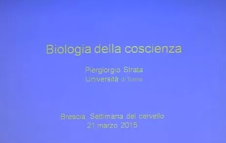 Lecture «La biologia della coscienza» 