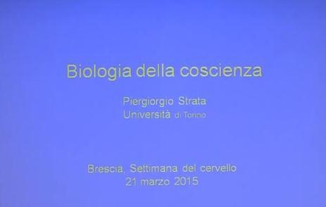 Lecture «La biologia della coscienza» 