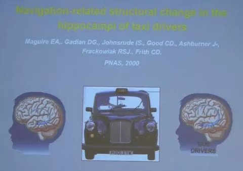 Olimpiadi delle Neuroscienze 2017