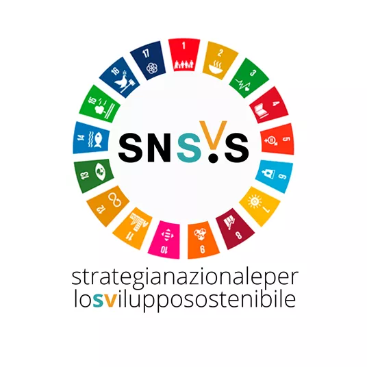 strategianazionale