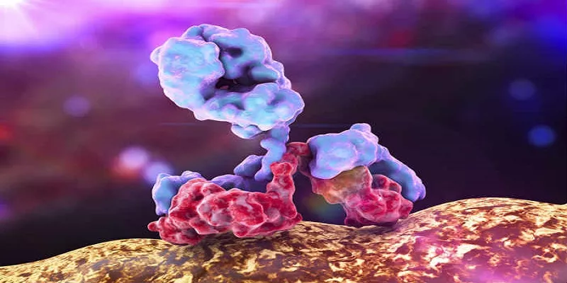 immunoglobuline