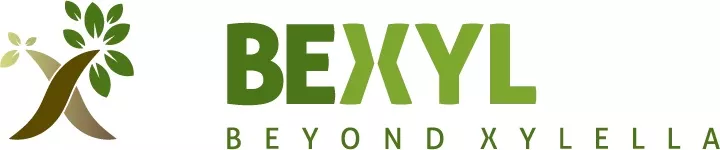 Bexyl