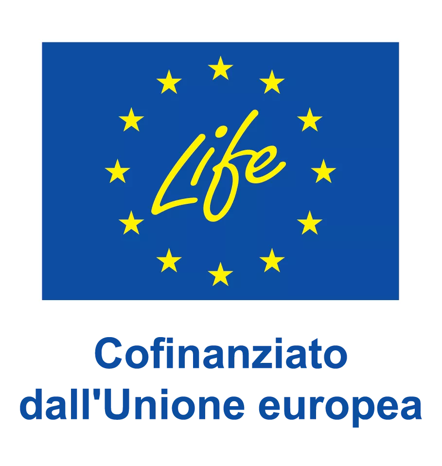 LIFE coifn
