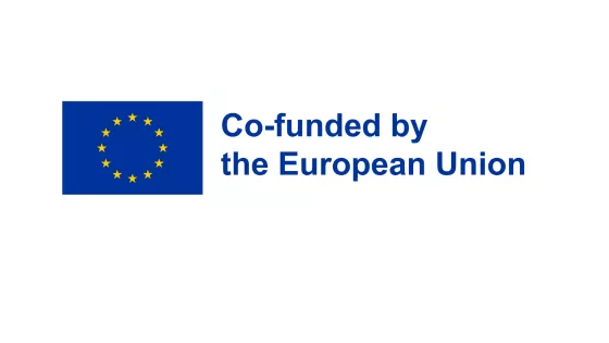 co-funded by european union