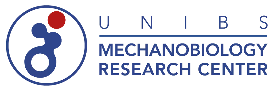 Logo Mechanobiology