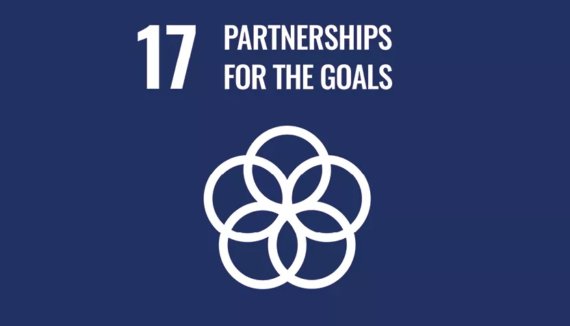 icona sdg 17
