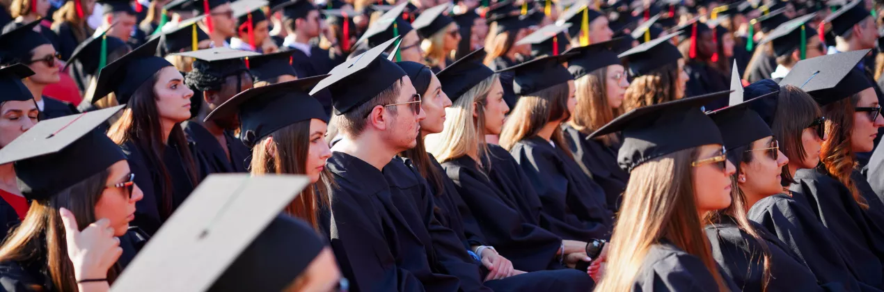 https://www.unibs.it/it/ateneo/comunicazione/tutte-le-news/rapporto-almalaurea-2024-l888-dei-laureati-triennali-trova-lavoro-ad-1-anno-dalla-laurea